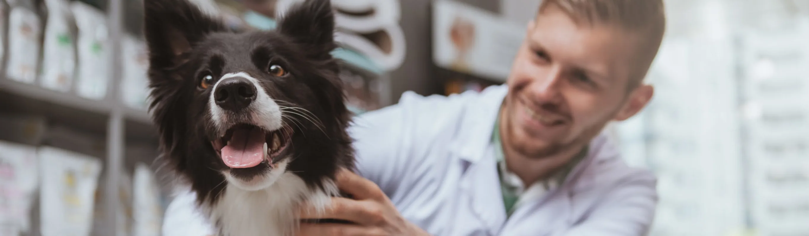 Our Animal Hospital’s History Animal Emergency & Specialty Hospital Byron Center Our Animal Hospital’s History Animal Emergency & Specialty Hospital Byron Center